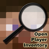 http://www.img3.9minecraft.net/Bukkit-Plugin/OpenPlayerInventory.png