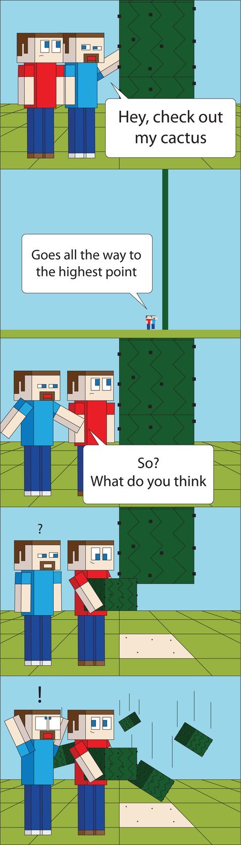 http://www.img3.9minecraft.net/Funny/Cactus.jpg