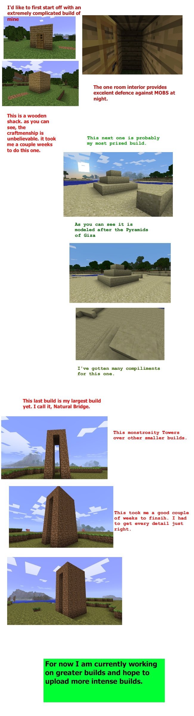 http://www.img3.9minecraft.net/Funny/Epic-Minecraft-builds.jpg