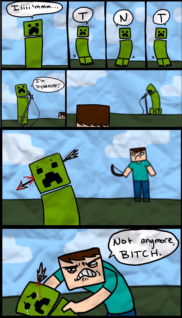 http://www.img3.9minecraft.net/Funny/Minecraft-comic-16.jpg