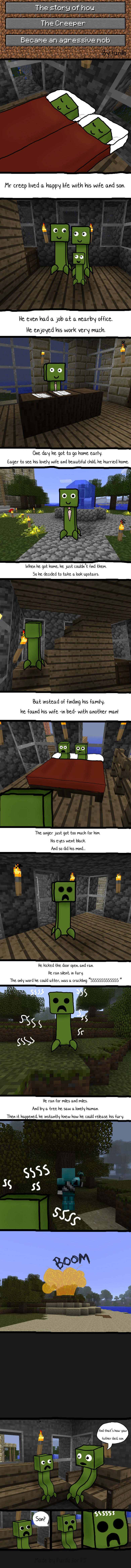 http://www.img3.9minecraft.net/Funny/The-story-of-the-creeper.jpg