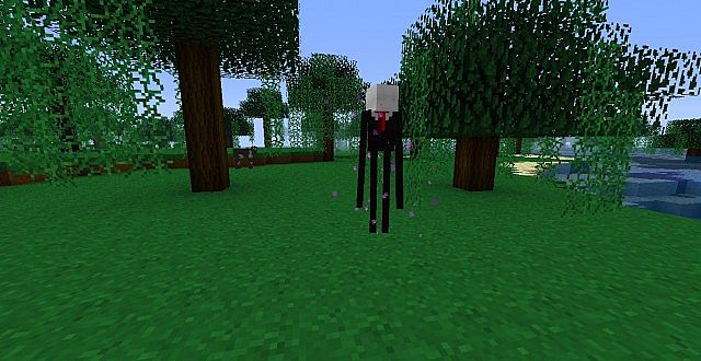 http://www.img3.9minecraft.net/Resource-Pack/Slendercraft-resource-pack-4.jpg