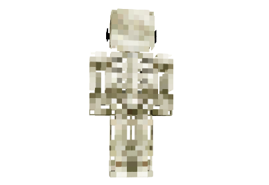 http://www.img3.9minecraft.net/Skin/Cool-skeleton-skin-1.png