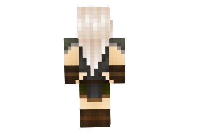 http://www.img3.9minecraft.net/Skin/Dark-link-girl-request-skin-1.png