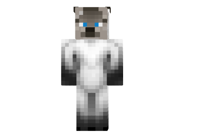 http://www.img3.9minecraft.net/Skin/Siamese-cat-skin.png