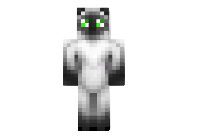 http://www.img3.9minecraft.net/Skin/Sorry-dude-skin.png