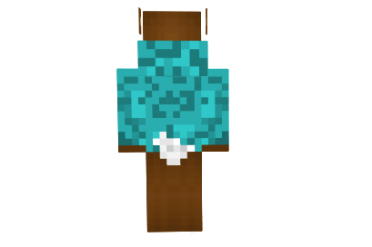 http://www.img3.9minecraft.net/Skins/Nerdy-teddy-bears-skin-1.png