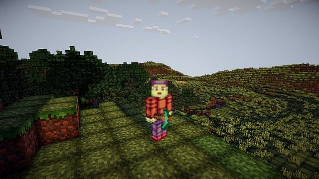 http://www.img3.9minecraft.net/TexturePack/Bcraft-texture-pack-2.jpg