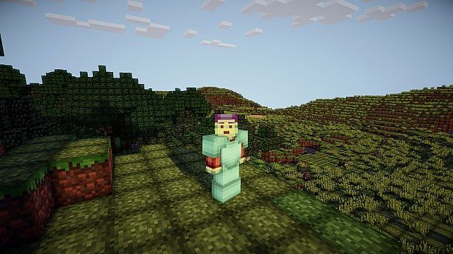 http://www.img3.9minecraft.net/TexturePack/Bcraft-texture-pack-3.jpg