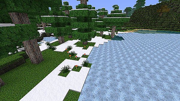 http://www.img3.9minecraft.net/TexturePack/DR-realistic-texture-pack-7.jpg