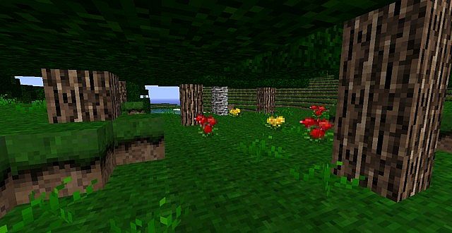 http://www.img3.9minecraft.net/TexturePack/Echanium-craft-texture-pack-1.jpg