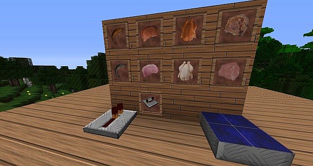 http://www.img3.9minecraft.net/TexturePack/Full-of-life-texture-pack-2.jpg