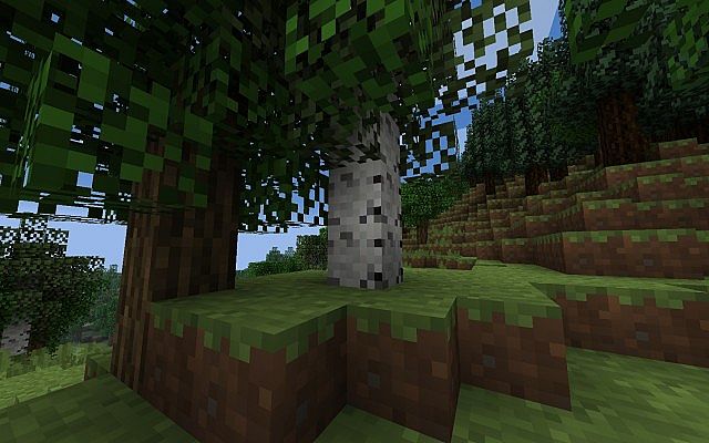 http://www.img3.9minecraft.net/TexturePack/Magicraft-8-bit-texture-pack-10.jpg