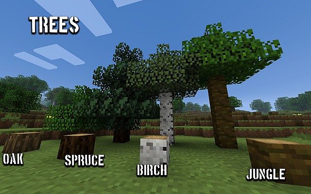 http://www.img3.9minecraft.net/TexturePack/Magicraft-8-bit-texture-pack-7.jpg