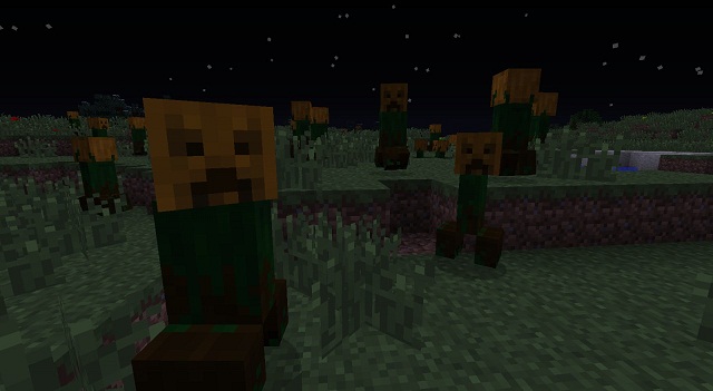 http://www.img3.9minecraft.net/TexturePack/Pumpkin-Patch-Texture-Pack-4.jpg