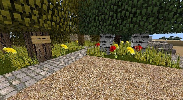 http://www.img3.9minecraft.net/TexturePack/Simply-hd-texture-pack-3.jpg