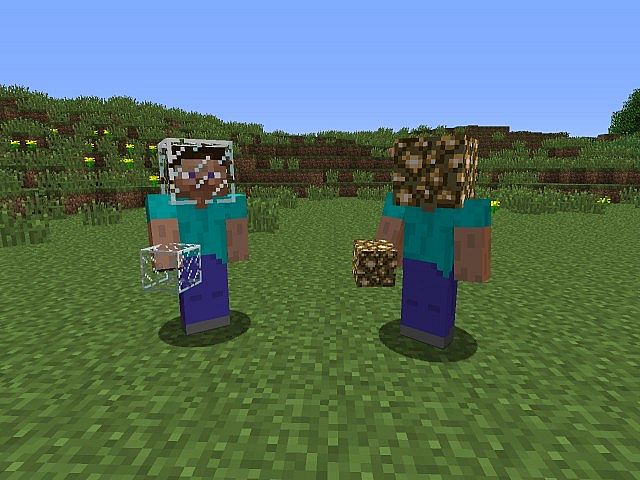 http://www.img3.9minecraft.net/minecraft/img/Custom Hat.jpg