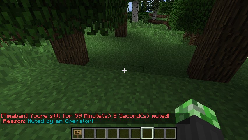 http://www.img3.9minecraft.net/minecraft/img/Timeban2.jpg