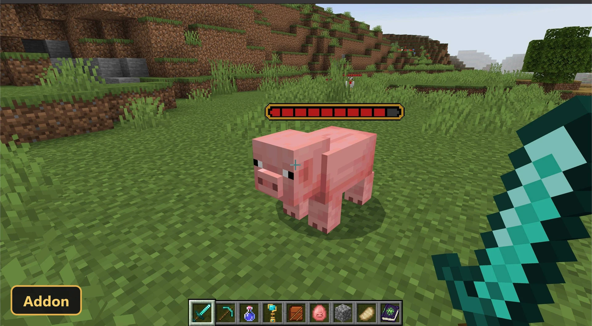 health bar above a pig in a grassy field