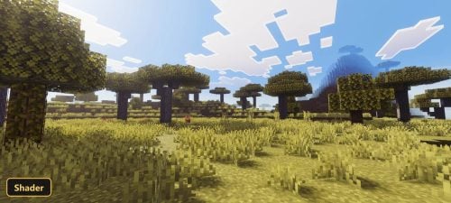 savanna biome, tall grass, acacia trees, bright sun, clear sky