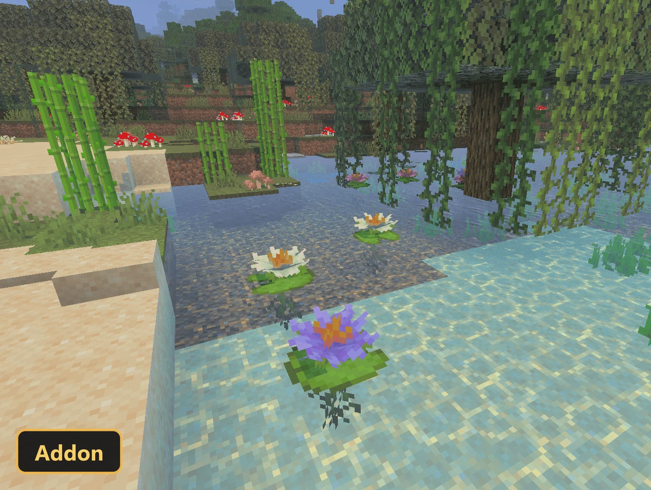 lily pads and water lilies in a pond