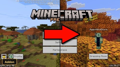 Preview Hider (26+) – MCPE/Bedrock Addon