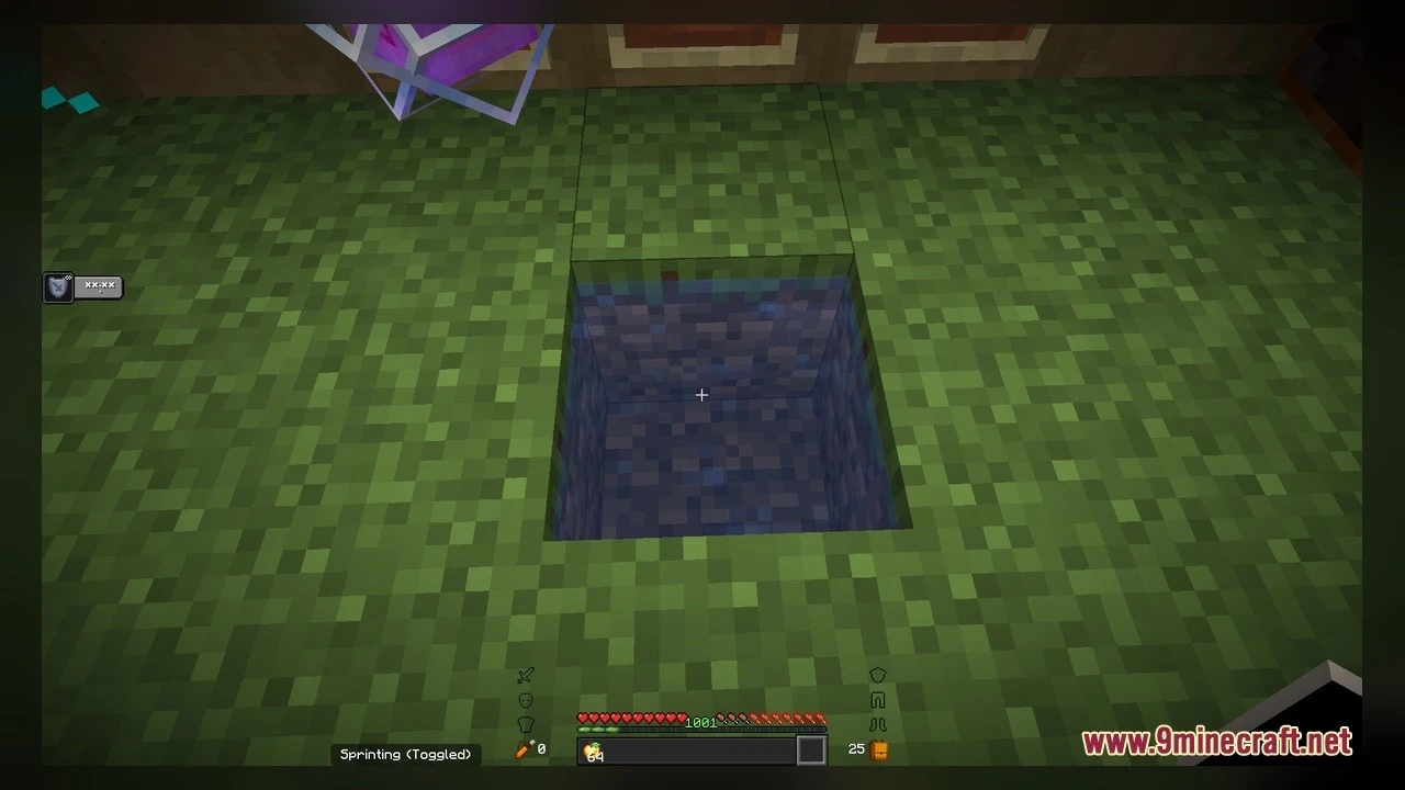 Diamond SMP Essentials Model Screenshot 1