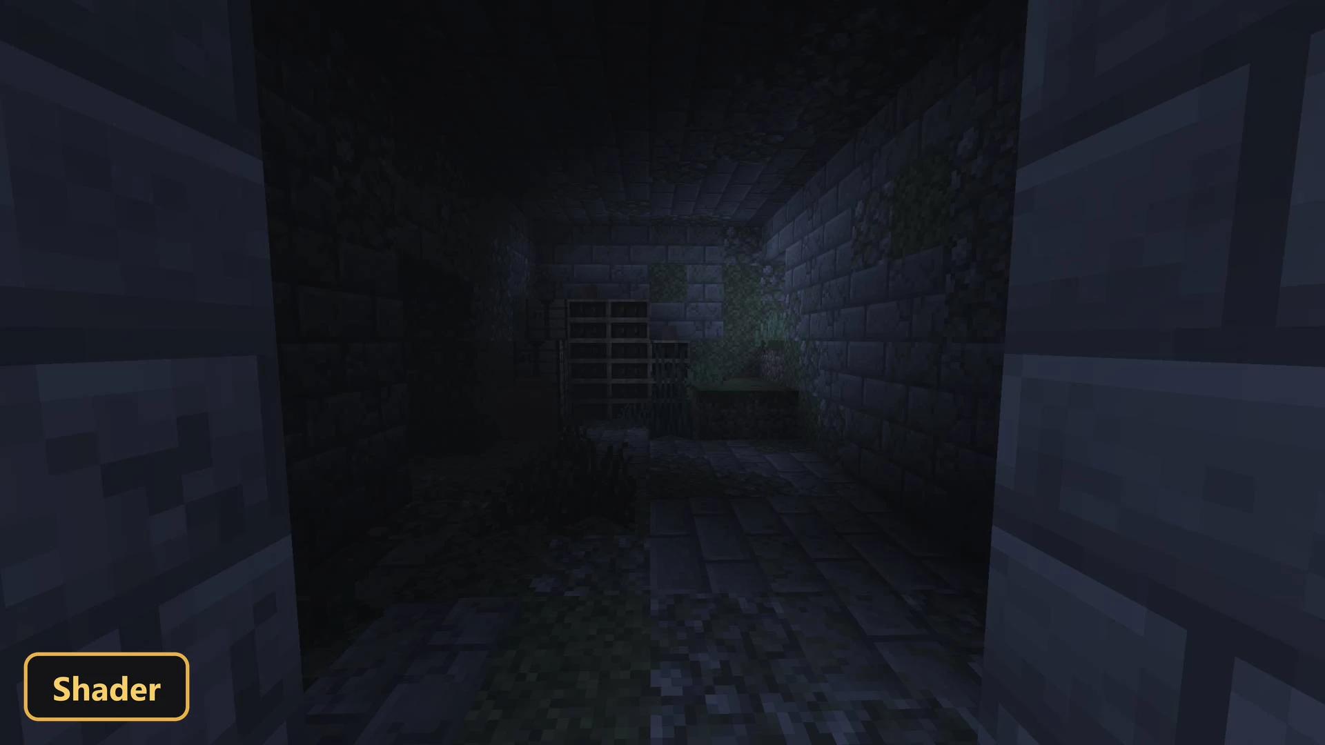 dark, mossy stone dungeon interior with shelves and fog
