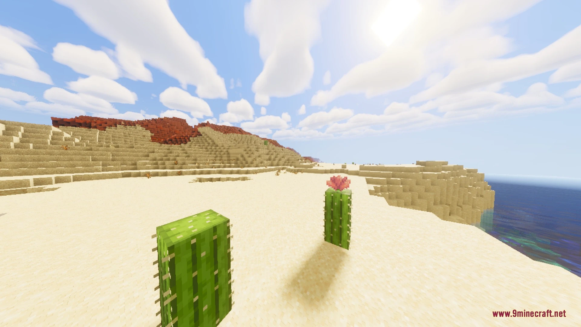 BSLB Dreamy Visuals Shader (26.x) – Volumetric God Rays and Clear Caustic Water — screenshot 5