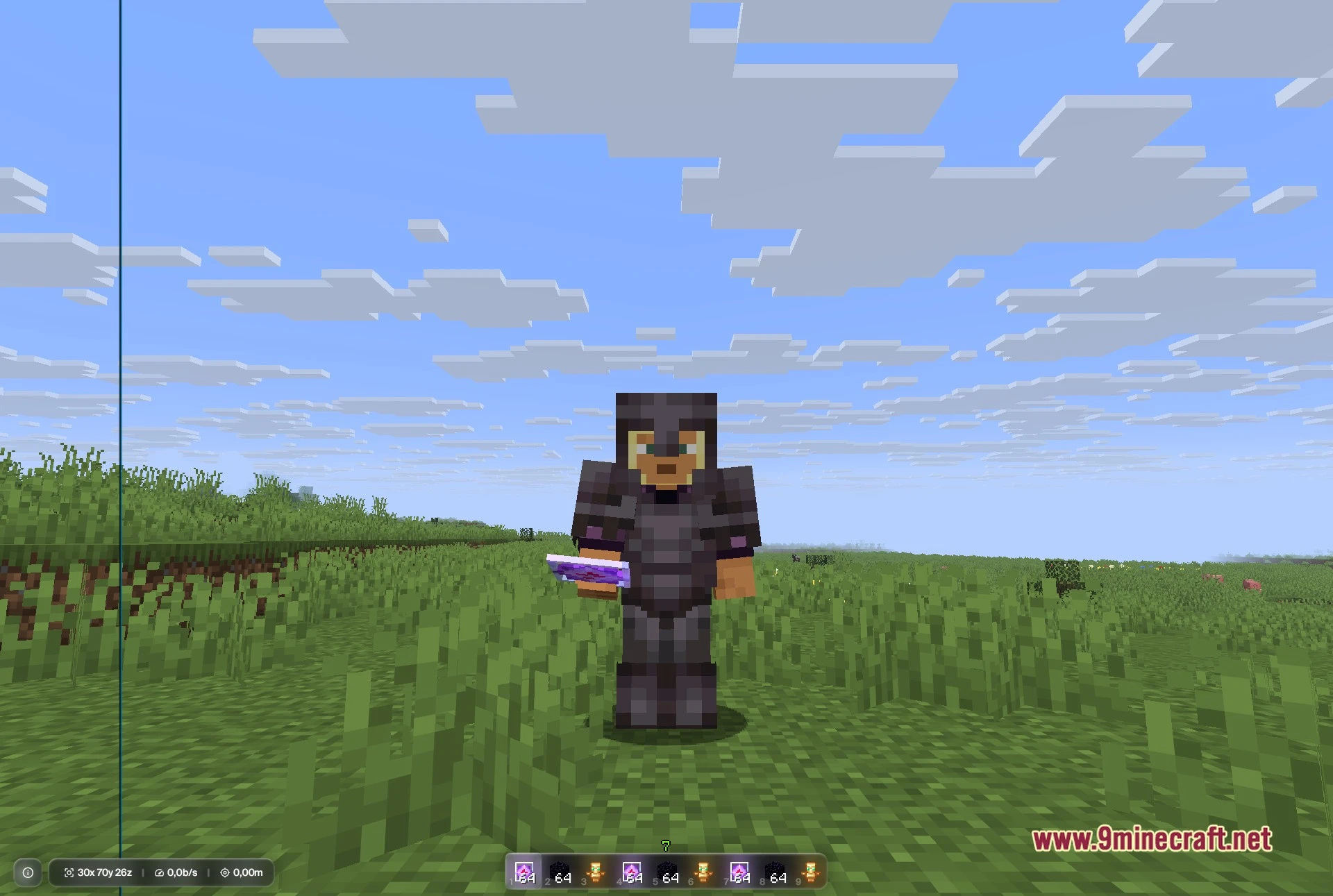 Selene Client Mod (1.21.11) – Spot Hidden Targets and Win PvP Battles — screenshot 3