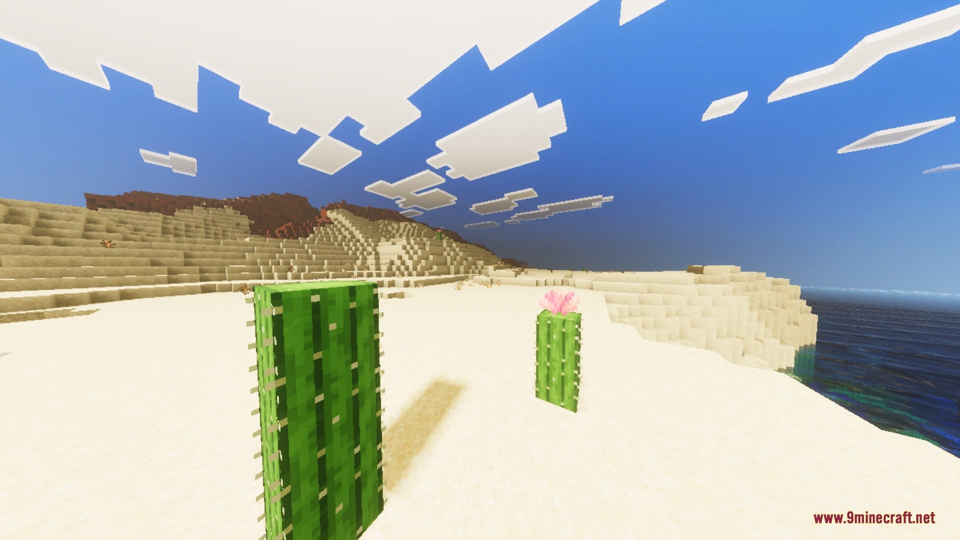 Naturalism Shaders (26.x, 1.21) – Biome-Accurate Lighting and Reflective Water — screenshot 4