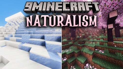 Naturalism Shaders (26.x, 1.21) - Biome-Accurate Lighting and Reflective Water