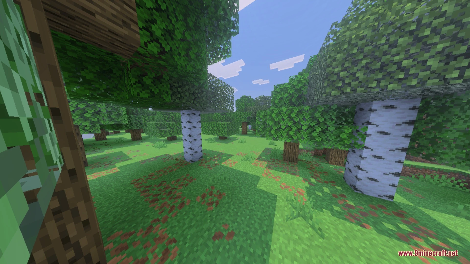 Newb X Supplementary Shader (26.x) – Realistic Water Foam and Glowing Ores — screenshot 3