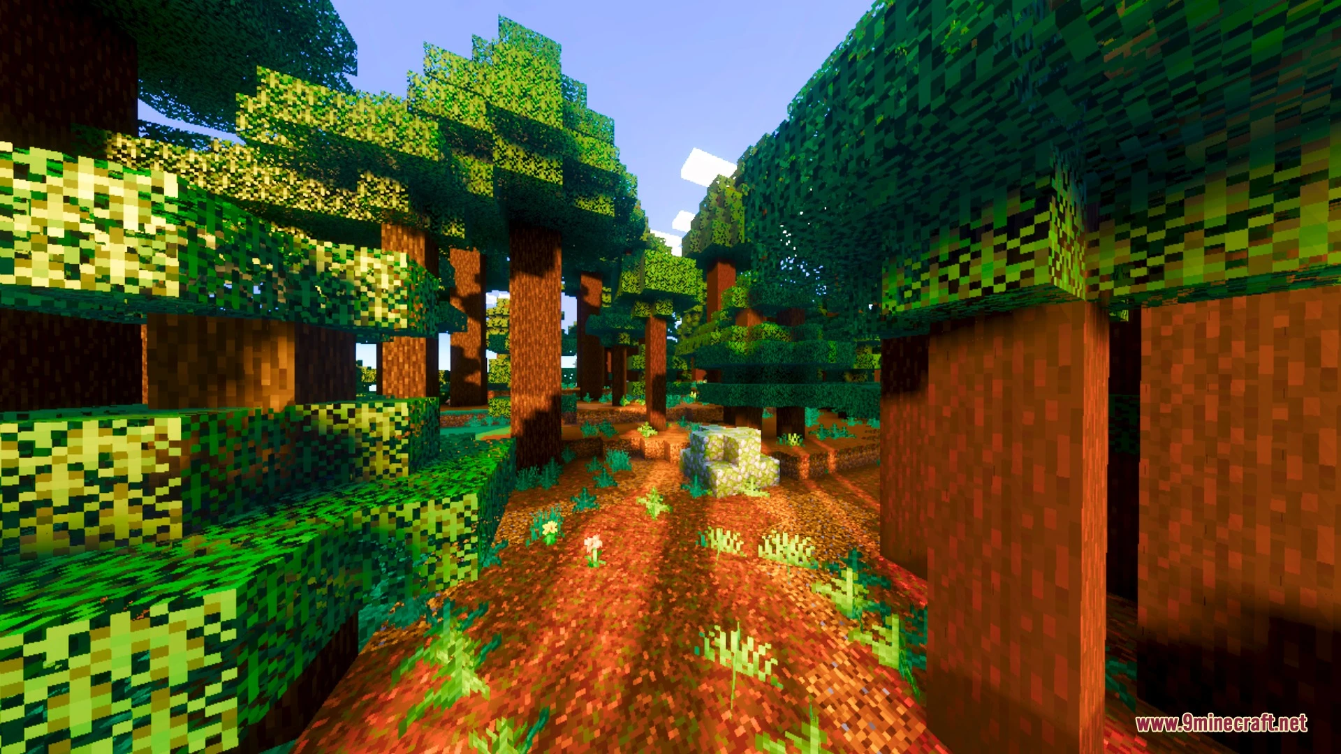 Nexora Visuals Shader (26.x) – Warm Biome Tones and Smooth Water Caustics — screenshot 4