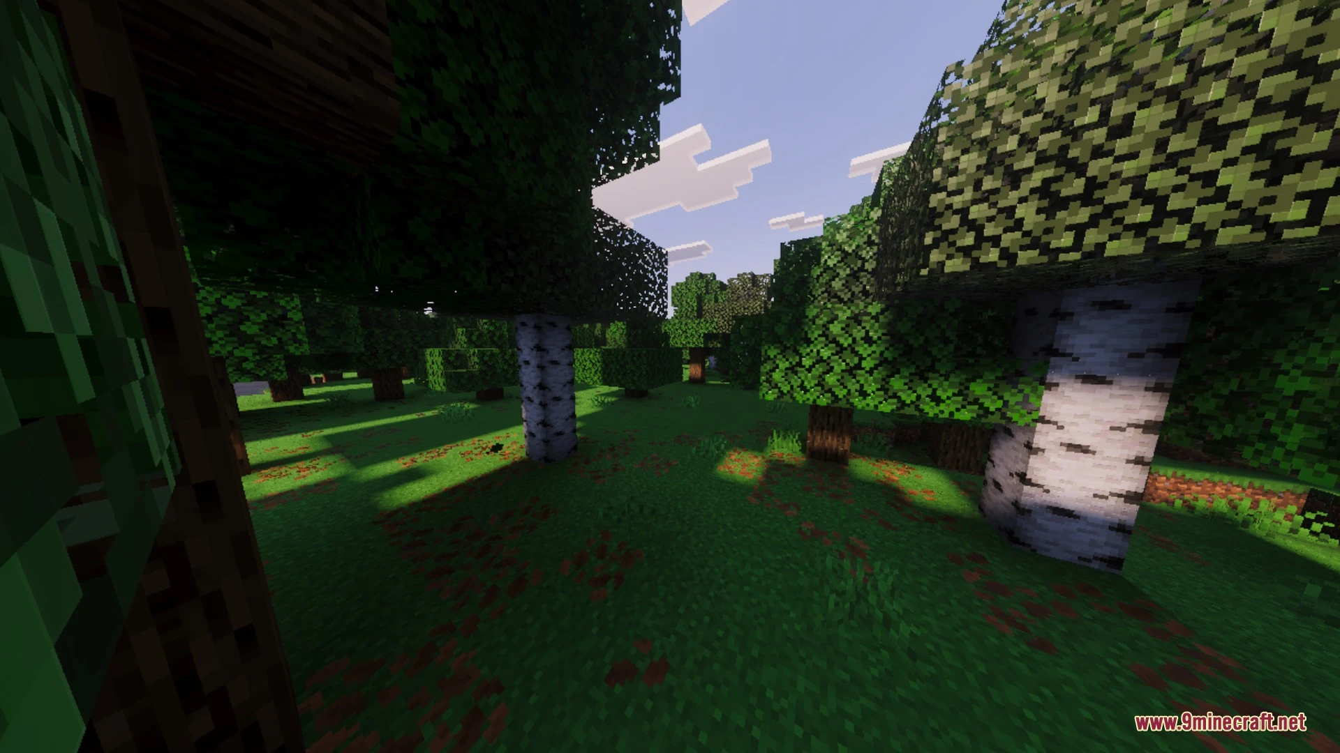 Vibrant Aura Legacy Shader (26.x, 1.21) – Volumetric God Rays and Water — screenshot 3