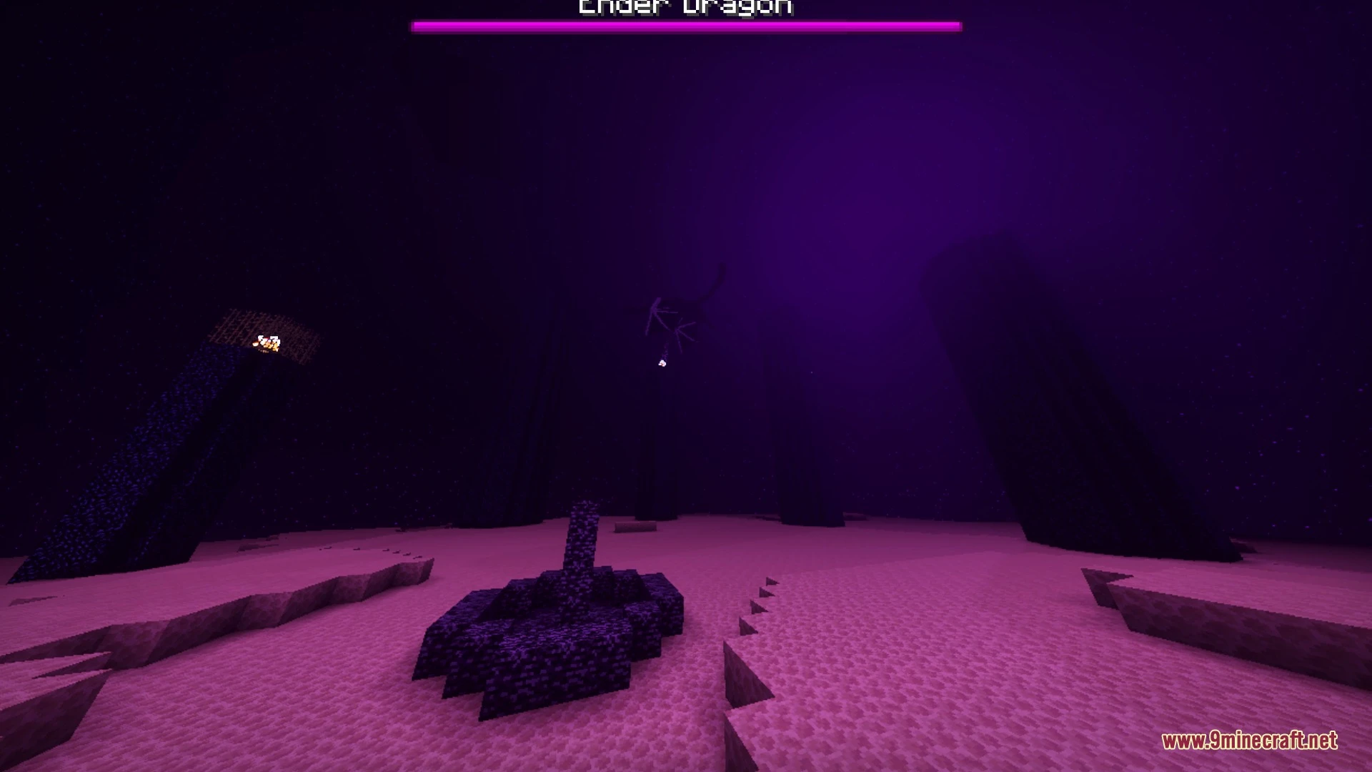 Enhanced Vibrant Visuals Shader (26.x, 1.21) – Volumetric Fog and PBR Textures — screenshot 8