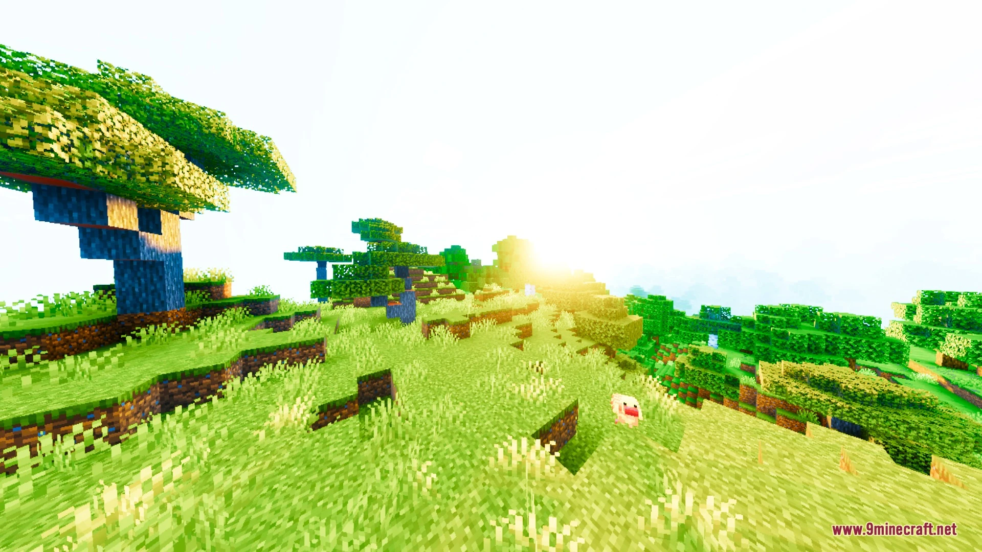 Lumina Prism Visuals Shader (26.x) – Warm Lighting and Crystal Clear Water — screenshot 4