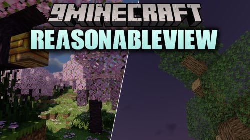ReasonableView Shaders
