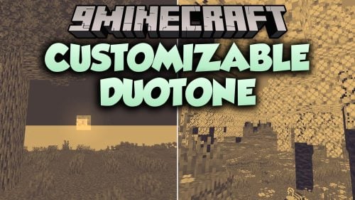 Customizable Duotone Shaders