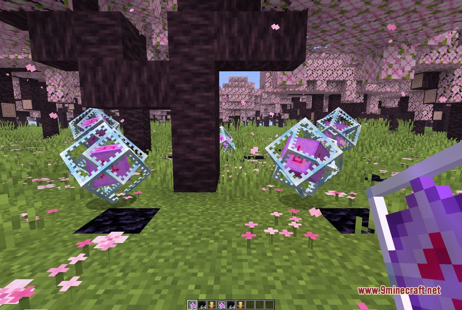 First-person view of the cherry grove test scene with end crystals