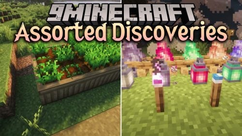 Assorted Discoveries Mod (26.3, 1.21.11) – Cook Hearty Meals for Survival