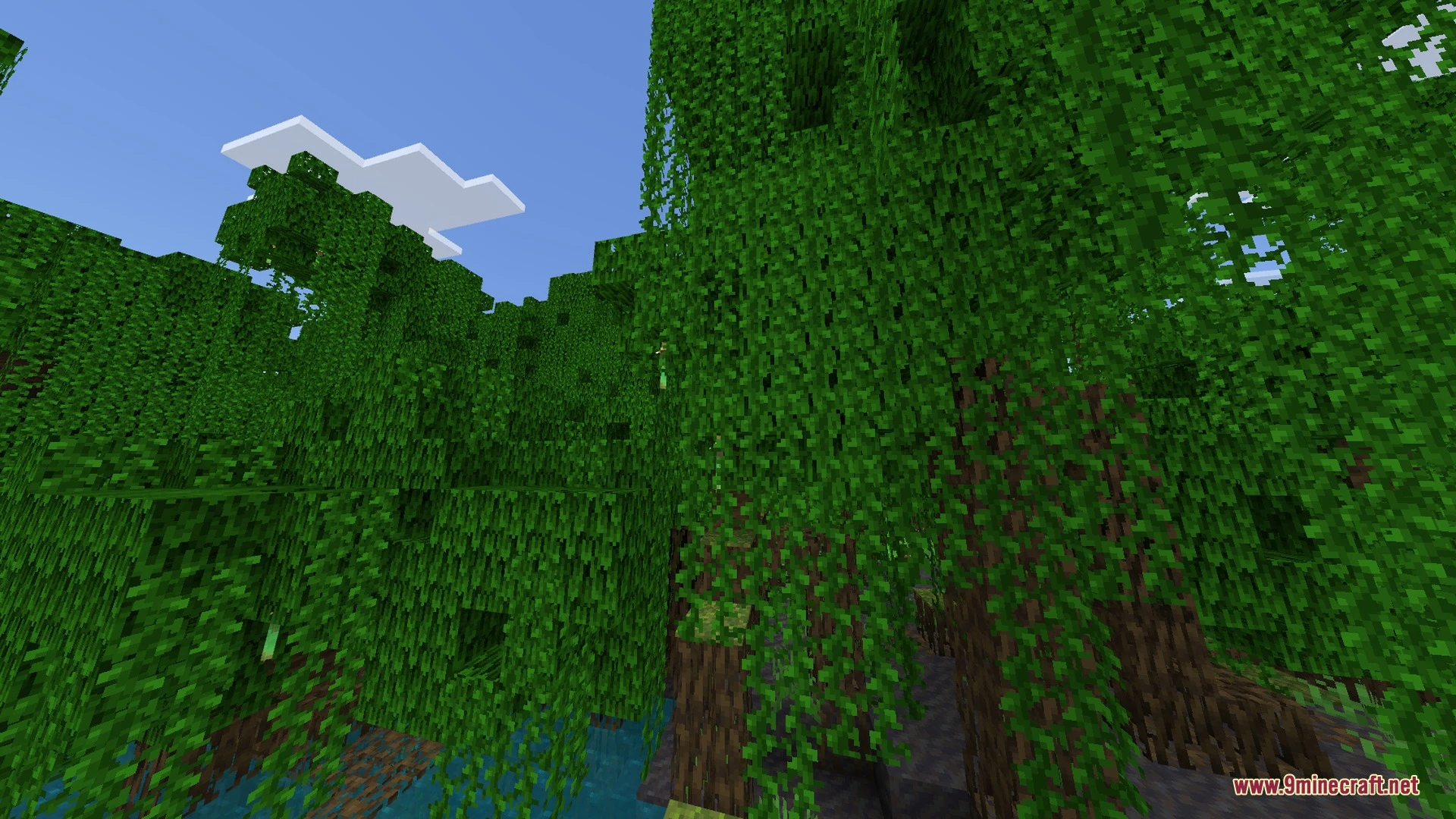 Auren Visuals Shader (26.x) – Warm PBR Lighting and Reflective Water — screenshot 2