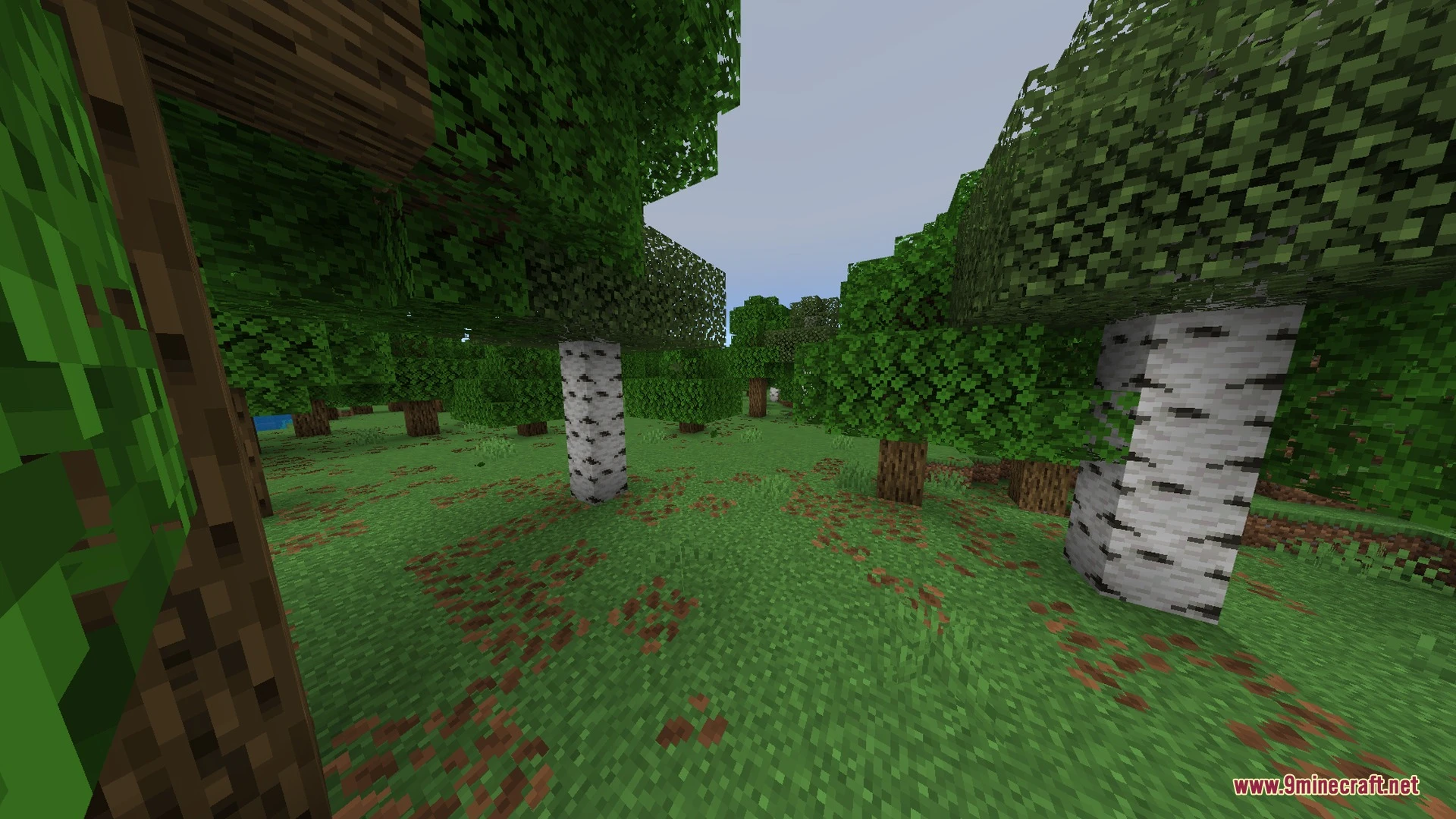 Foxay Shader (26.x) – Aurora Night Skies and Glowing Ores for Bedrock — screenshot 2