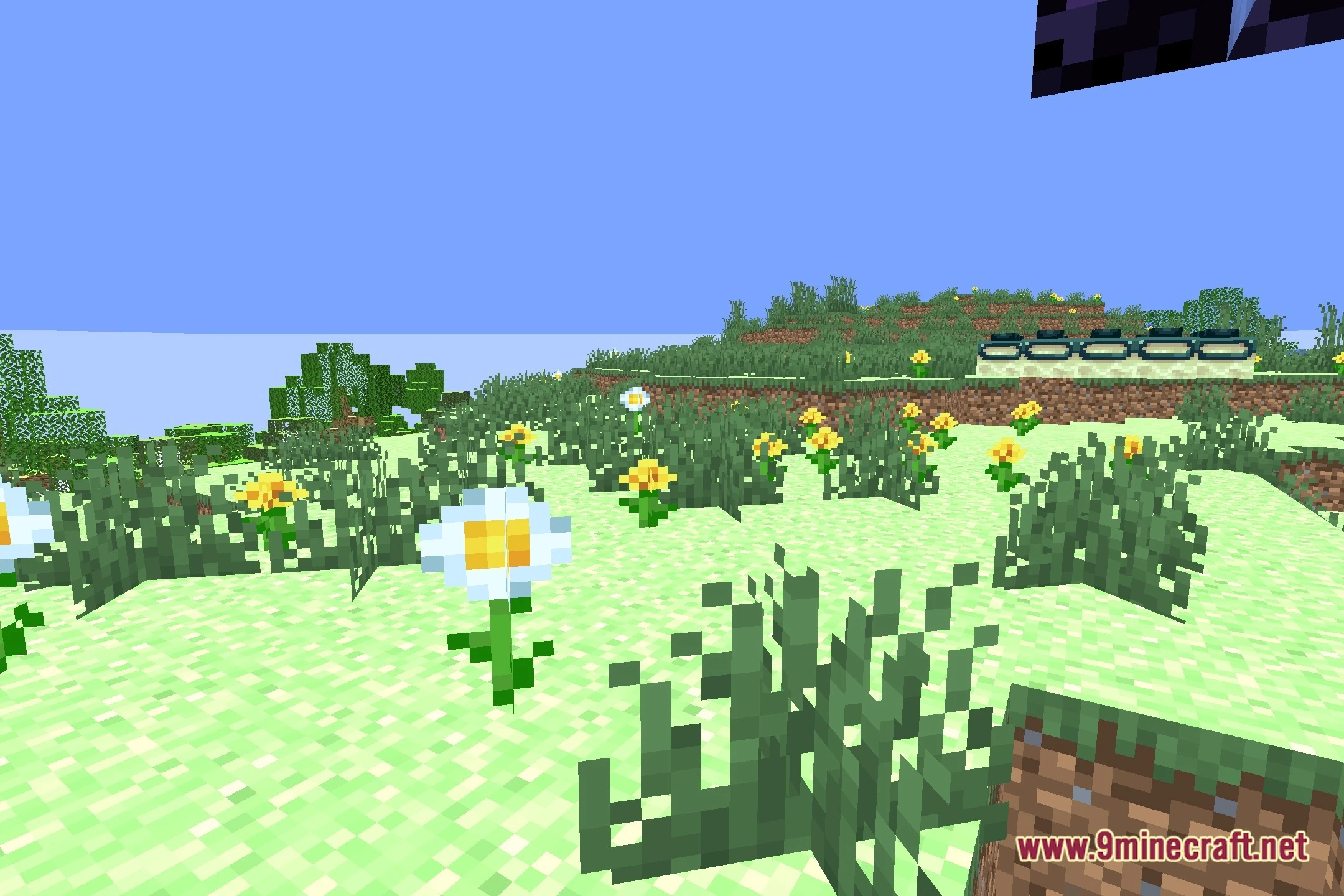 Rethinking Titan Maro's Enchanted Light MEL Shaders Screenshot 3