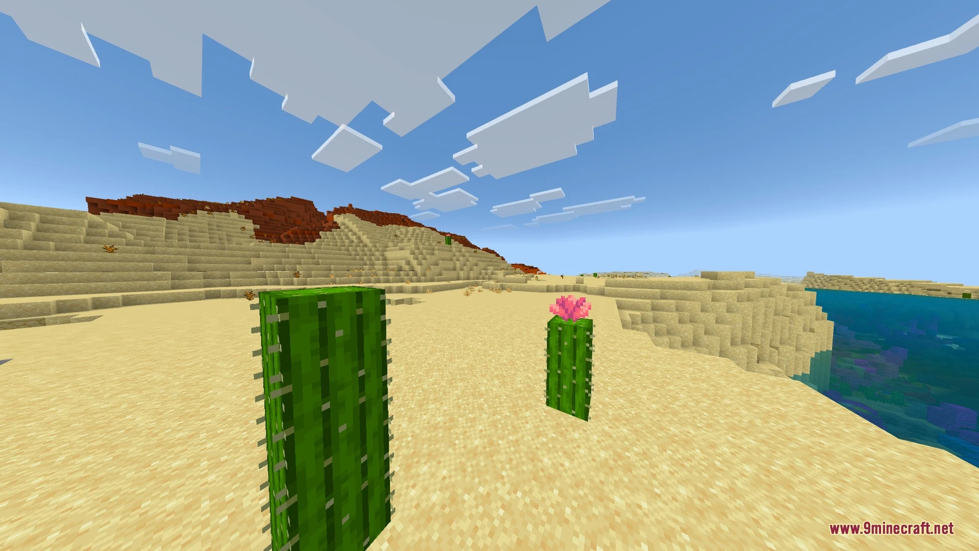 SATURATION VISUAL VIBRANT VISUAL by Bedrock Shader (26.x, 1.21) — screenshot 3