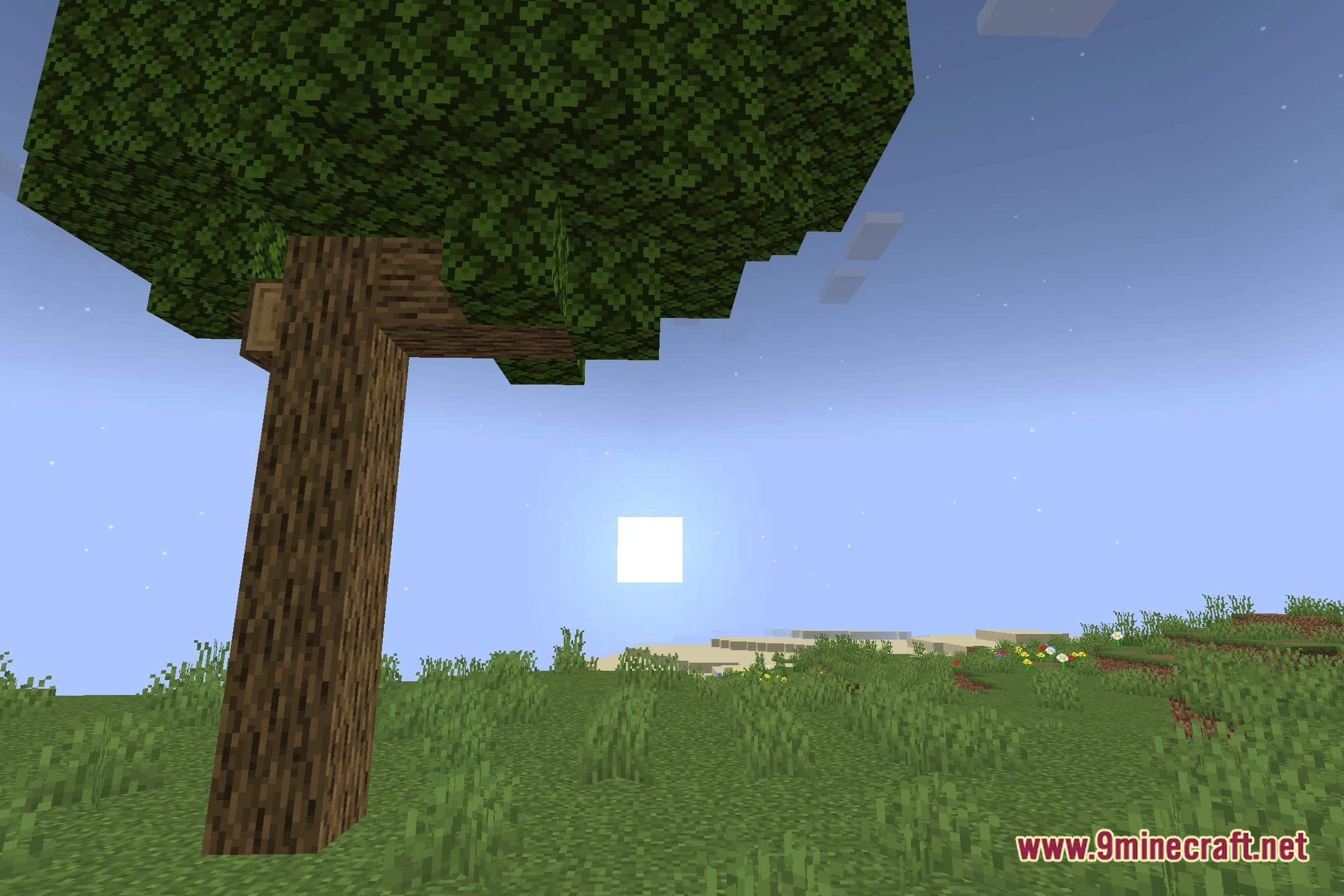 ProcTemporal ShaderPack Shaders (26.3, 1.20.1) – Smooth Temporal Image Passes — screenshot 4