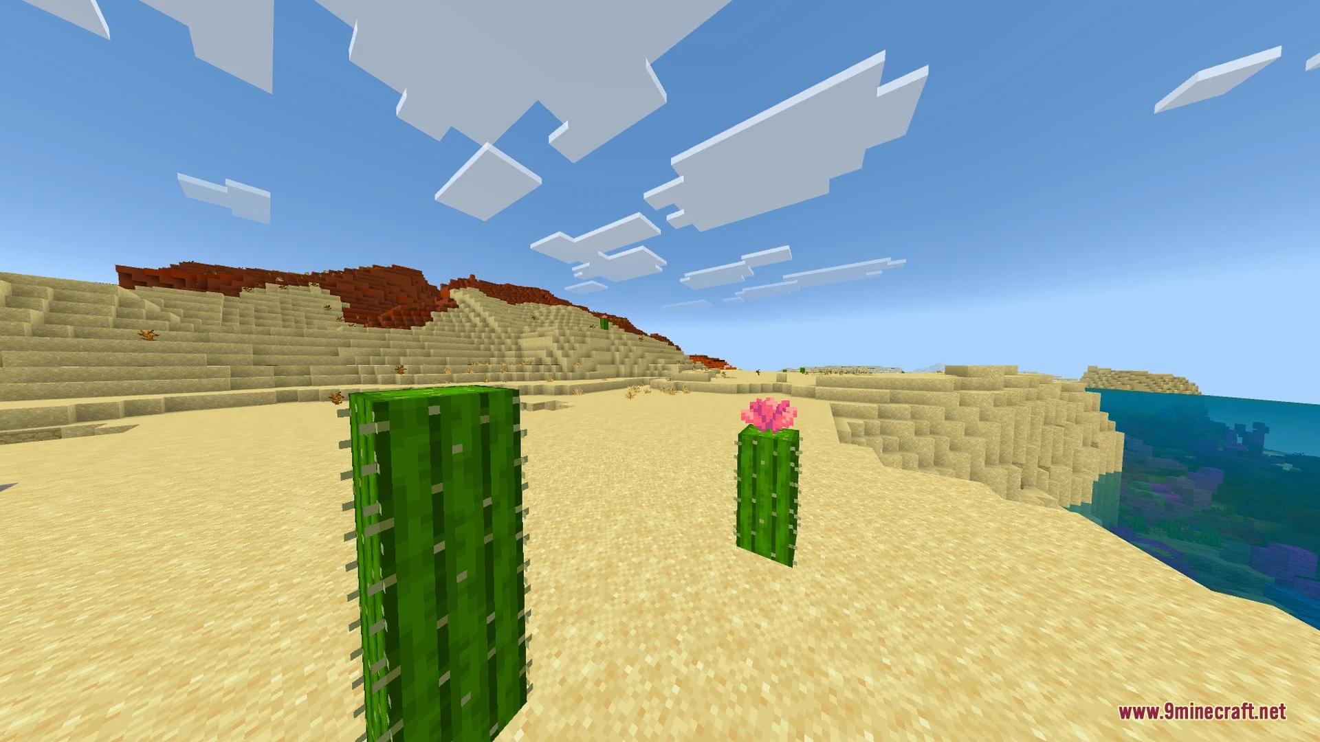 Saturated Visual Zephyr Free Lag Shader (26.x, 1.21) – Warmer Saturated Tones — screenshot 2