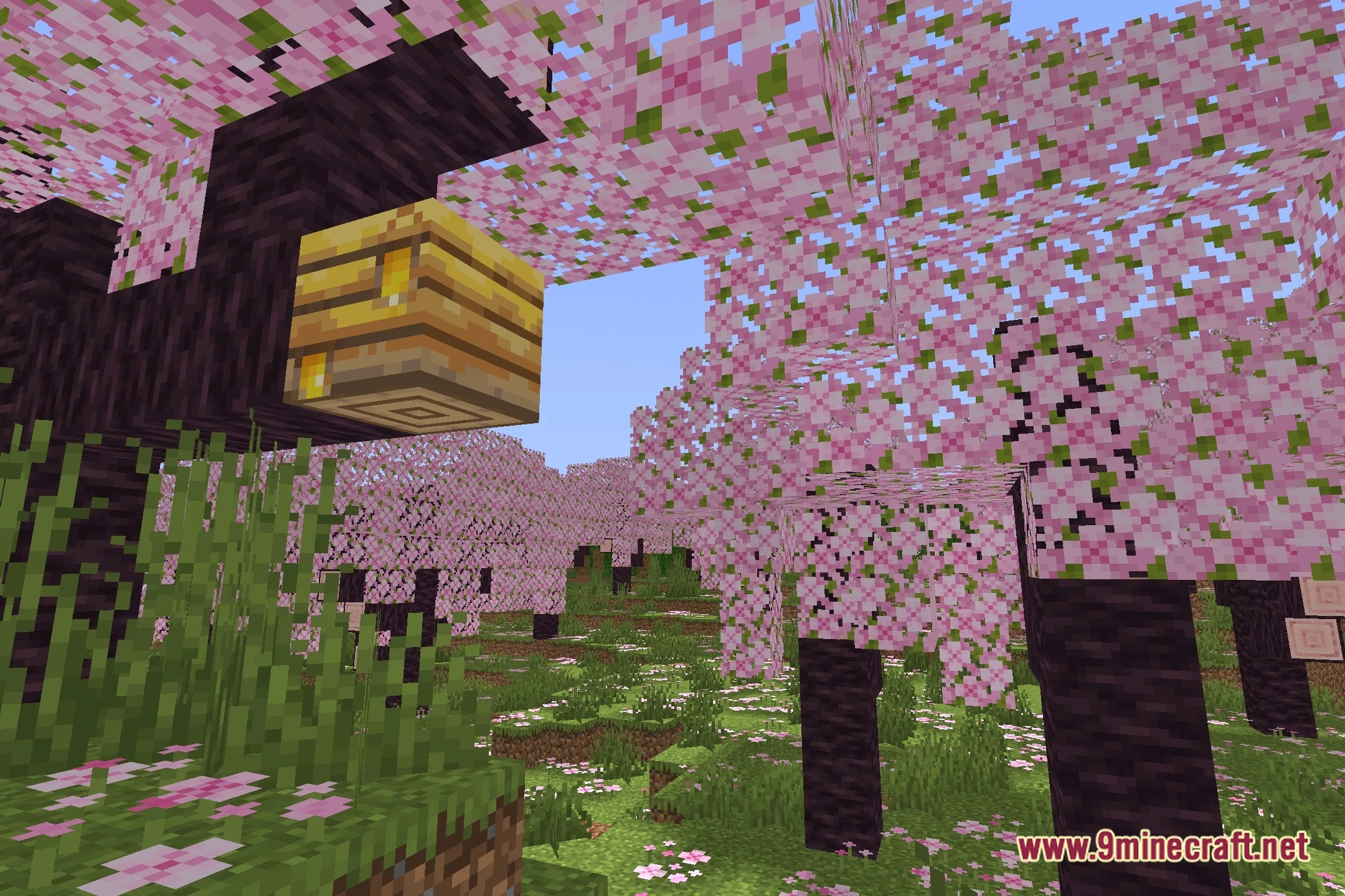 AuroraShader (26.3, 1.20.1) – Modern Real-Time GLSL Lighting on Iris — screenshot 1