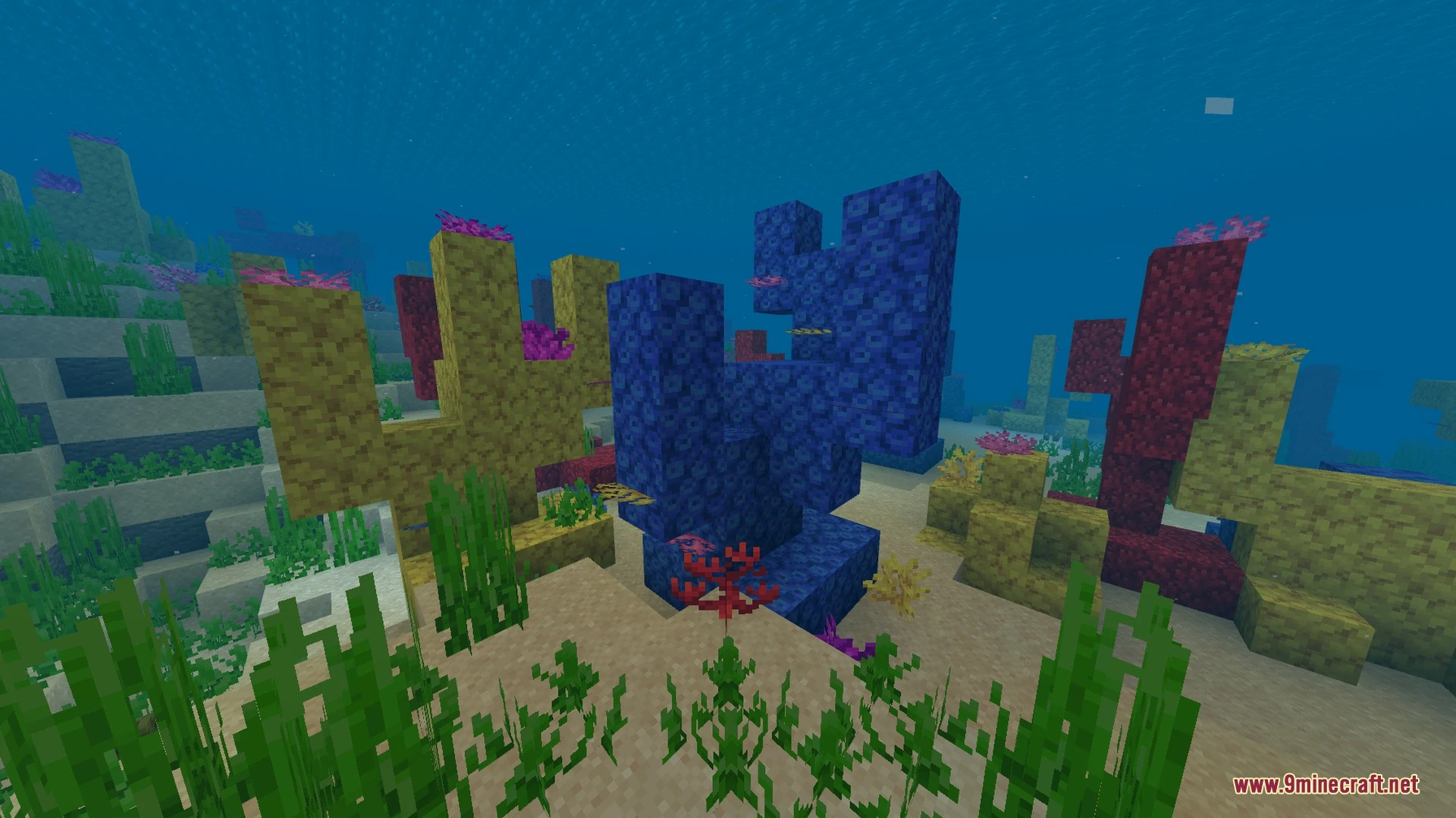 Aoffy Vibrant+ Shader (26.x, 1.21) – Realistic Sky, Clear Water — screenshot 1