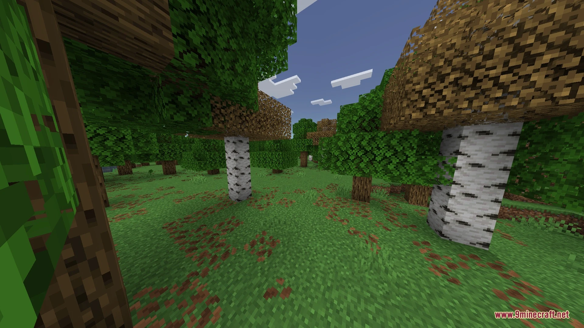 DreamHaze Shaders (26.x, 1.21) – Soft Pastel Lighting and Volumetric God Rays — screenshot 2